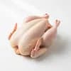 ไก่ทั้งตัว ราคา 67.5 บาท/กก. วันนี้