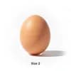 ไข่ไก่ เบอร์ 2 ราคา 3.7 บาท/ฟอง จาก ราชาไข่ไก่ (สุนทรฟาร์ม)