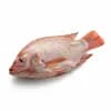 ปลาทับทิม ราคา 95 บาท/กก. จาก Makro PRO