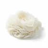 เส้นก๋วยเตี๋ยว ราคา 12.25 บาท/กก. วันนี้
