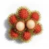 เงาะ (Rambutan) วัตถุดิบร้านอาหาร