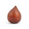 สละ (Salak) วัตถุดิบร้านอาหาร